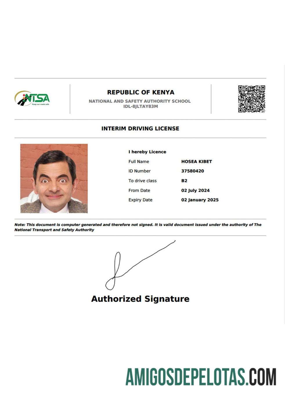 Kenya Interim Driving License exemplo